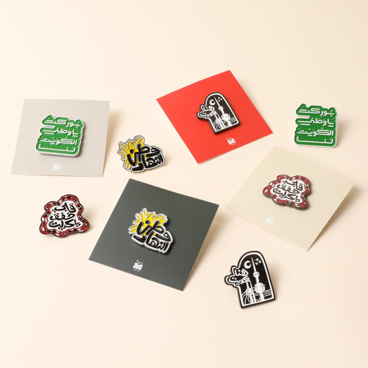 25 26 FEB PINS (بروشات)