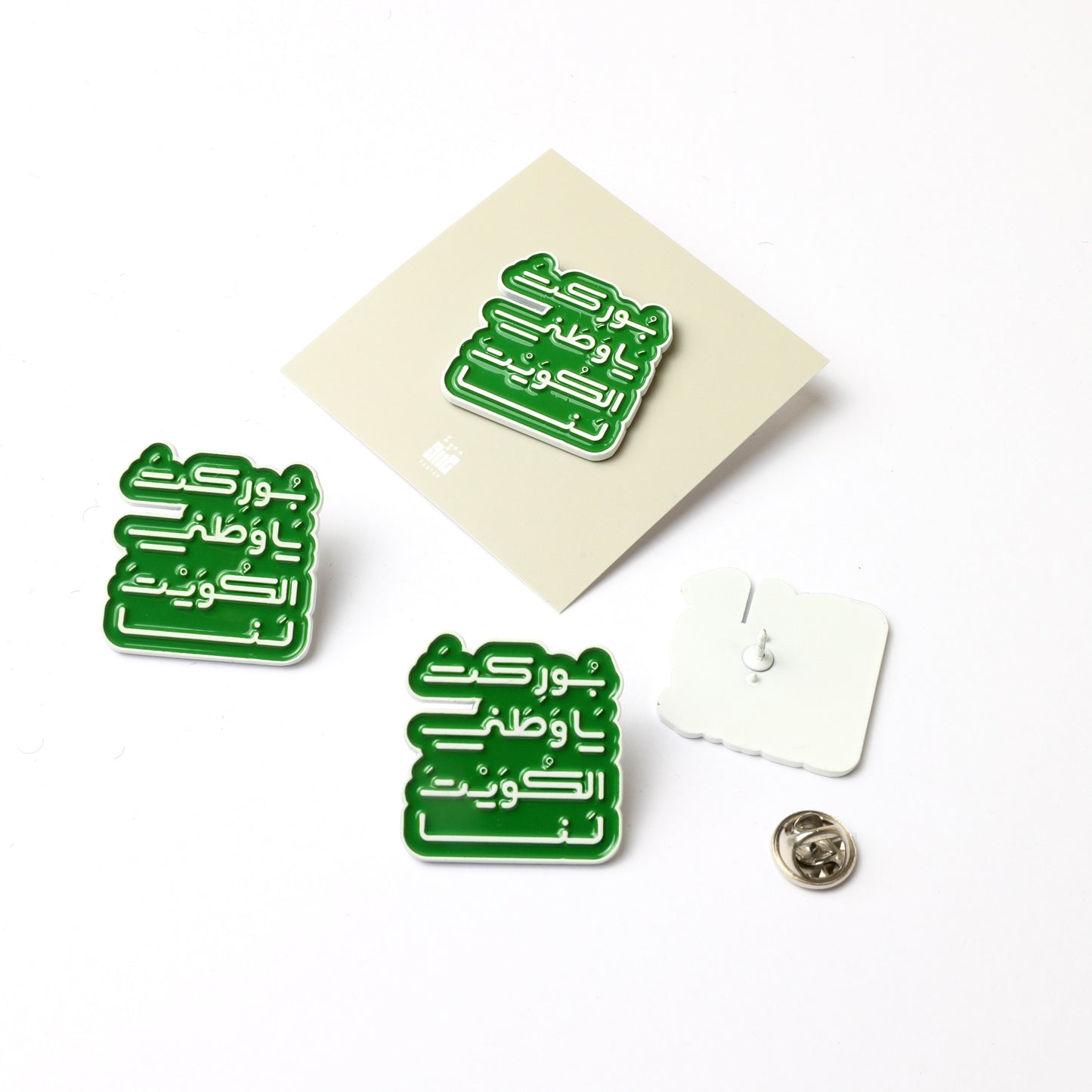 25 26 FEB PINS (بروشات)