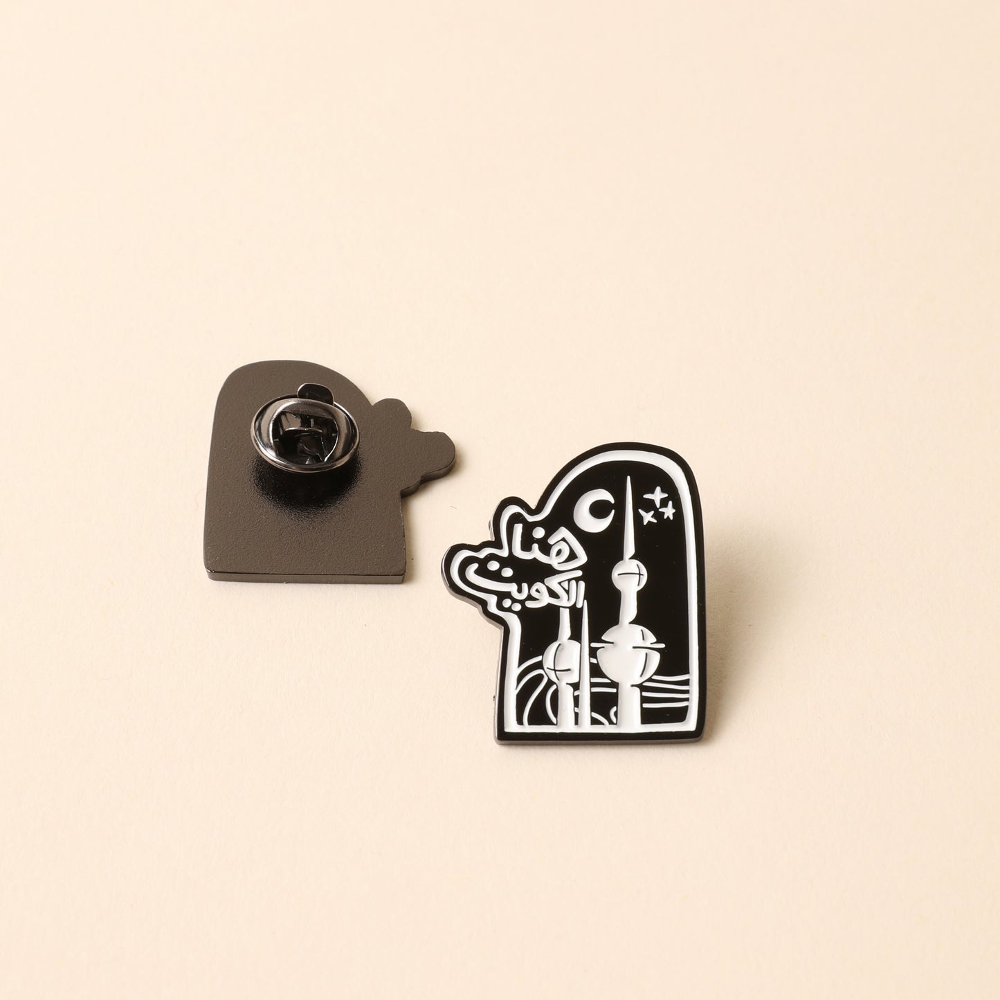25 26 FEB PINS (بروشات)