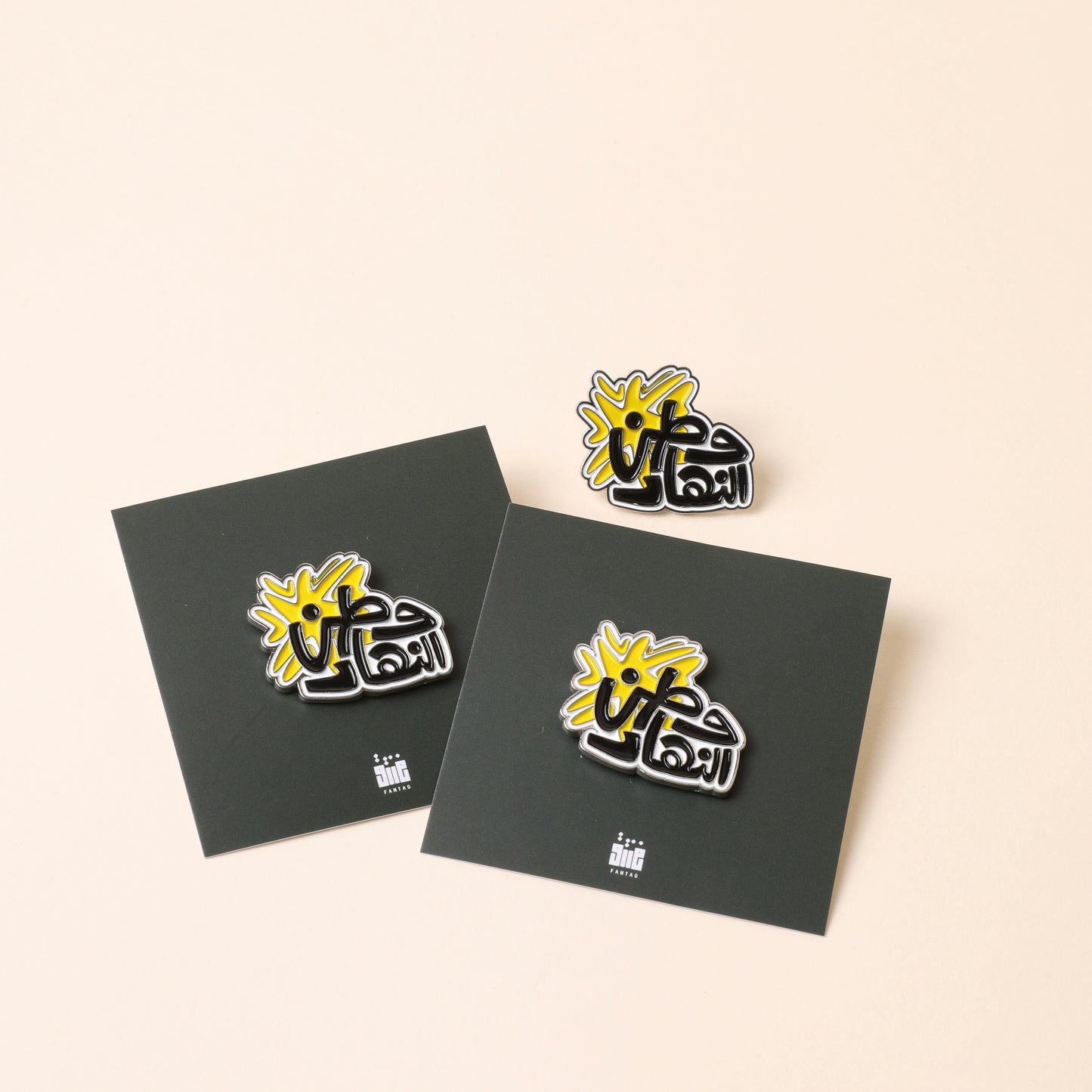 25 26 FEB PINS (بروشات)