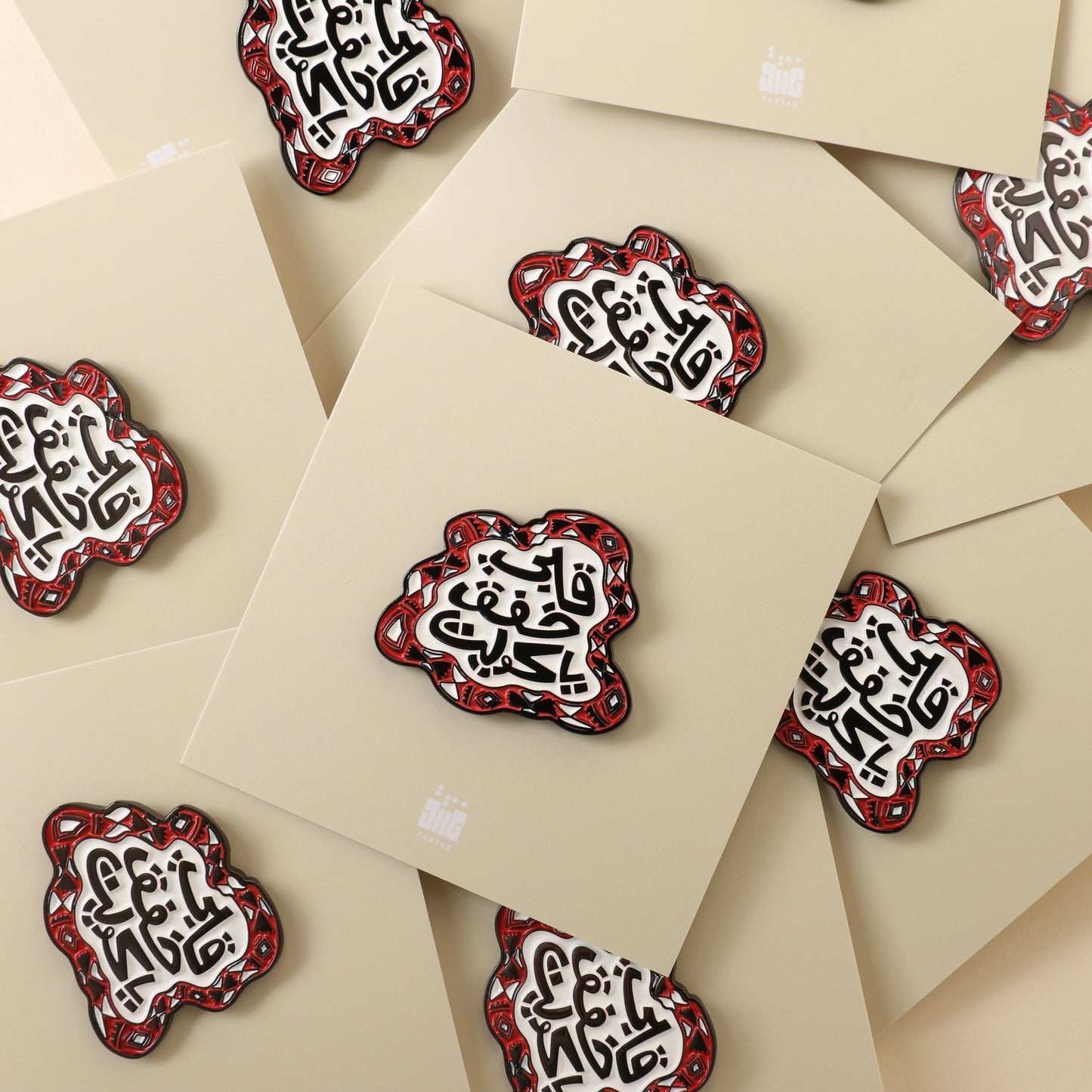 25 26 FEB PINS (بروشات)