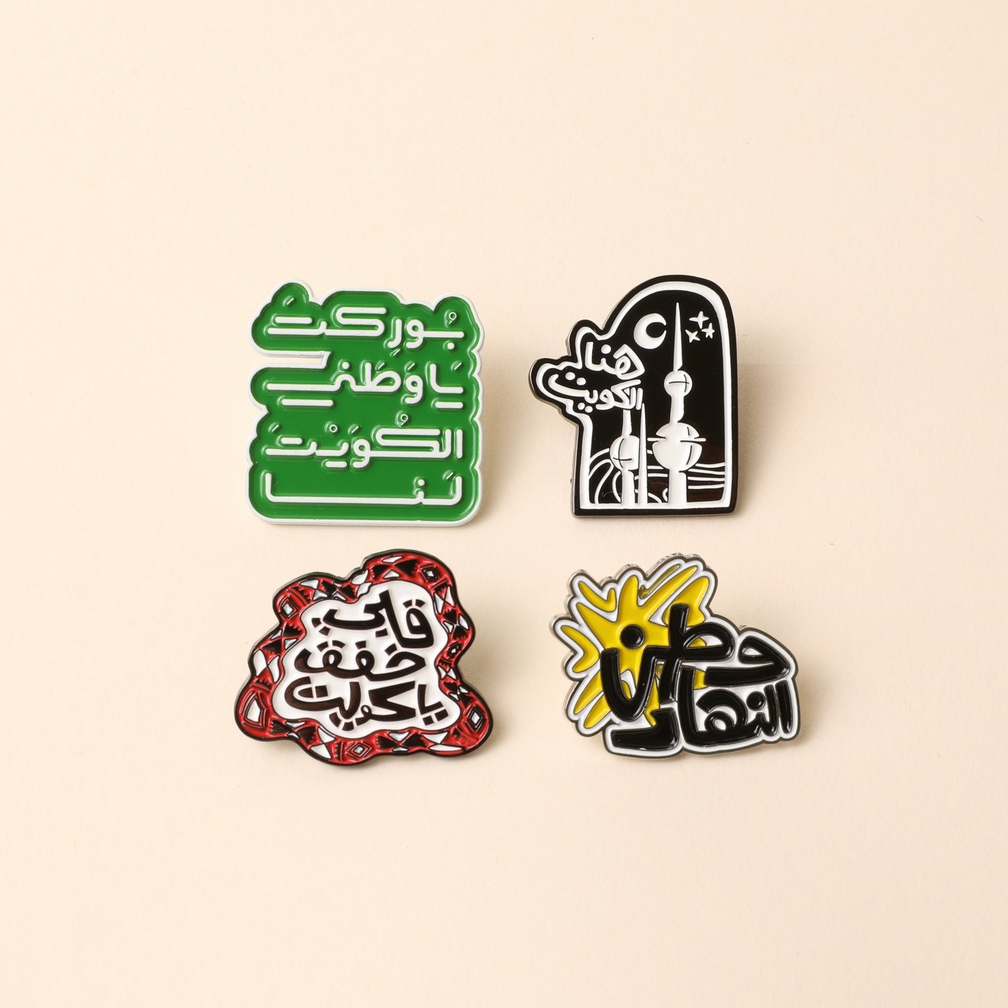 25 26 FEB PINS (بروشات)