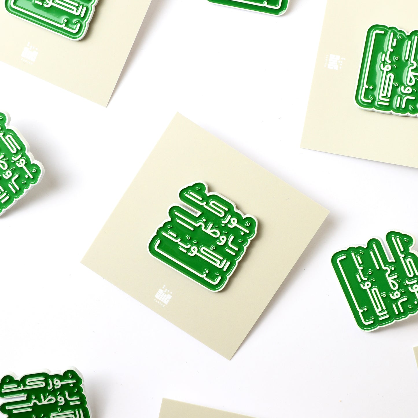 25 26 FEB PINS (بروشات)