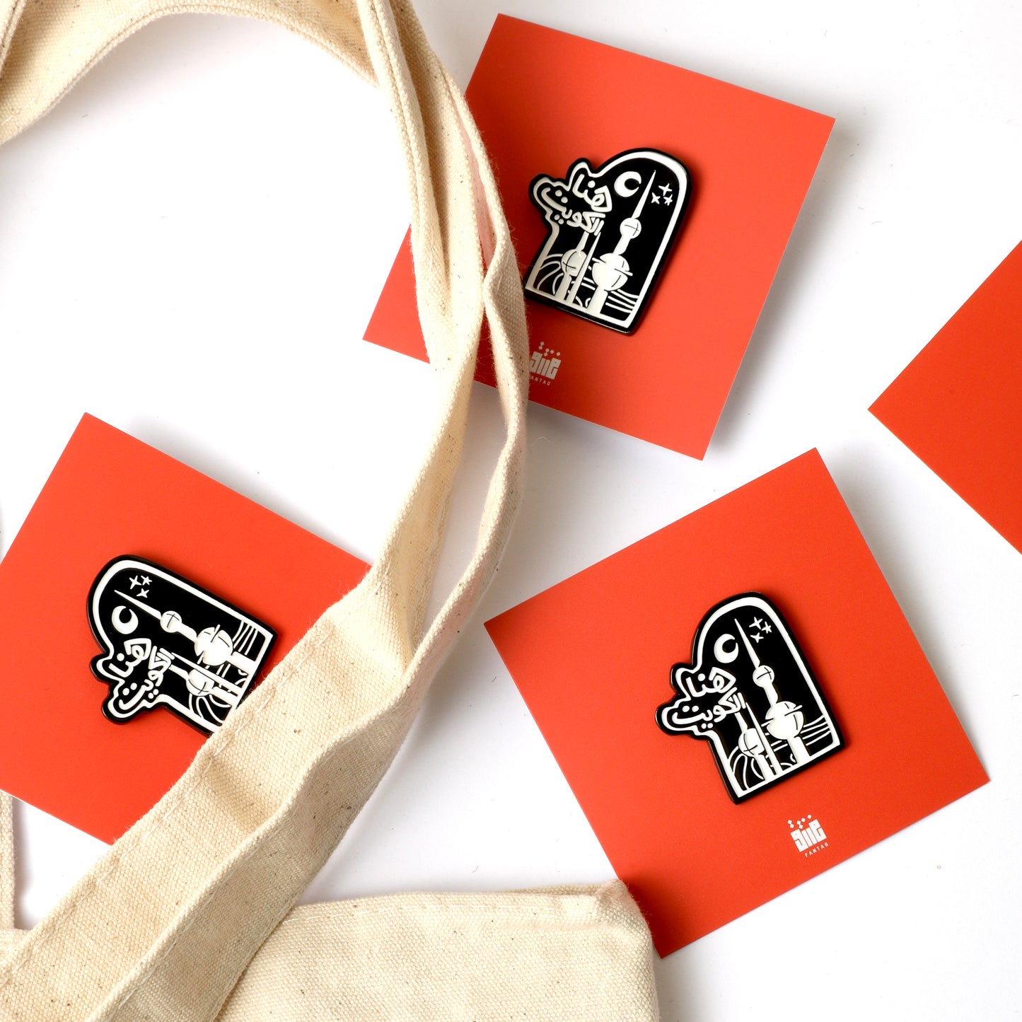 25 26 FEB PINS (بروشات)